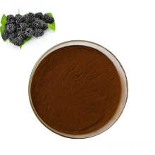 Pure natural factory supply 100% natural mulberry fruit juice powder